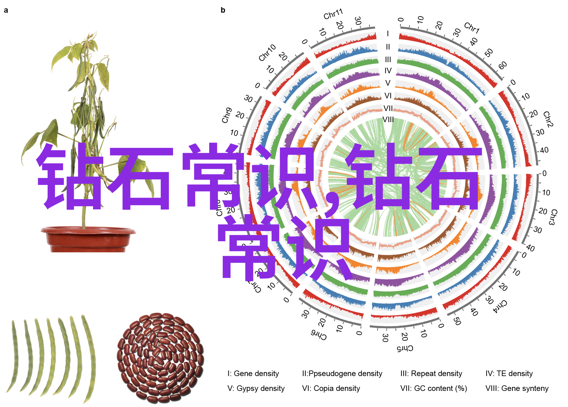 水中翡翠一杯真理的试金石