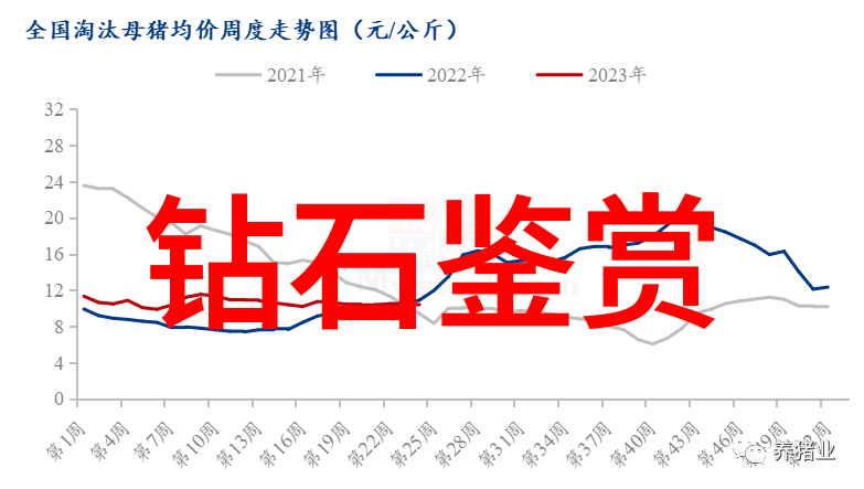 让你的珠宝焕发光彩翡翠手镯免费鉴定的艺术