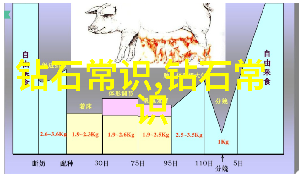 捕捞扇贝技巧腿张关键要领解析