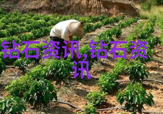 如何辨别真假翡翠专业鉴赏方法解析