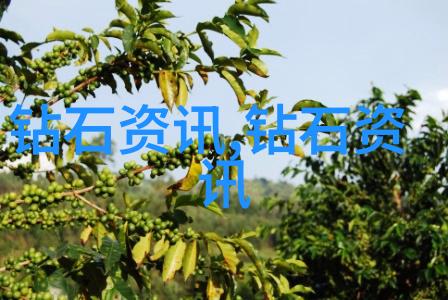 中国地质大学珠宝鉴定专业解析南红冻料冰飘与红白料在自然中的区别