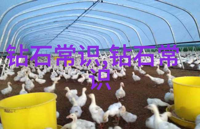 媚肉之香揭秘东方美食的诱惑与魅力中文版下载