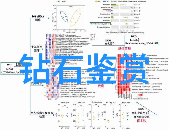 玉石的秘密寻宝者与学者的对话