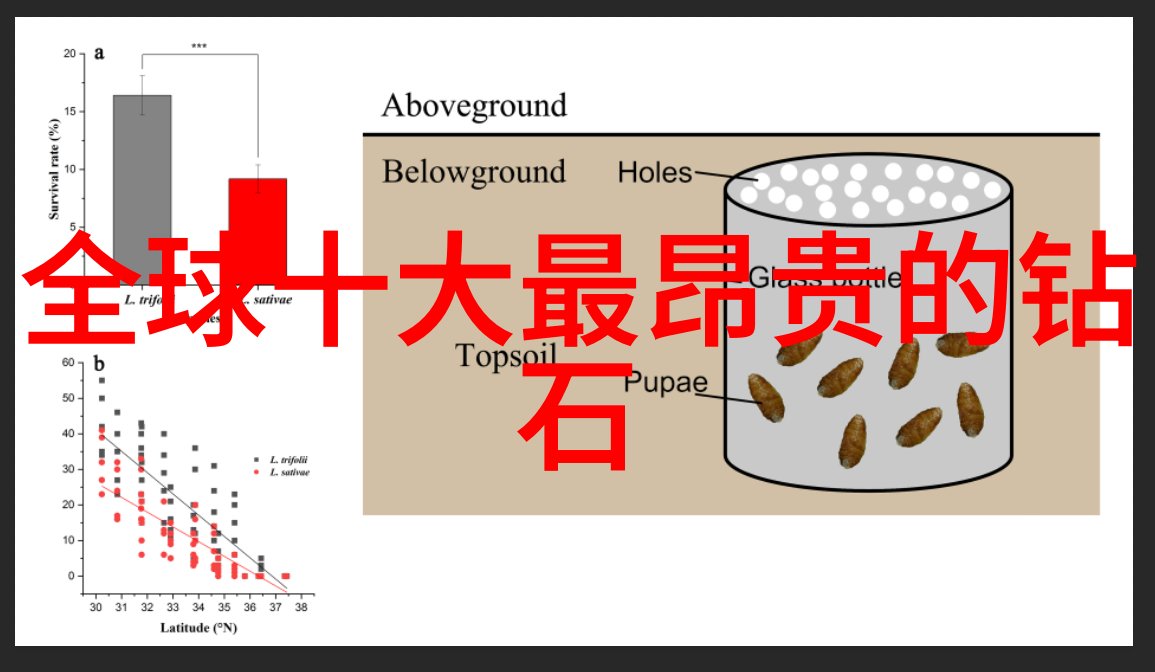 翡翠原石基础知识绿色宝石的历史成分种类与选购技巧