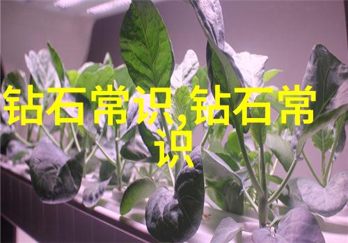 翡翠的真伪鉴定寻觅权威之地