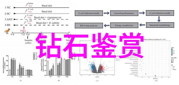 翡翠之珍天然翡翠的价值与收藏意义