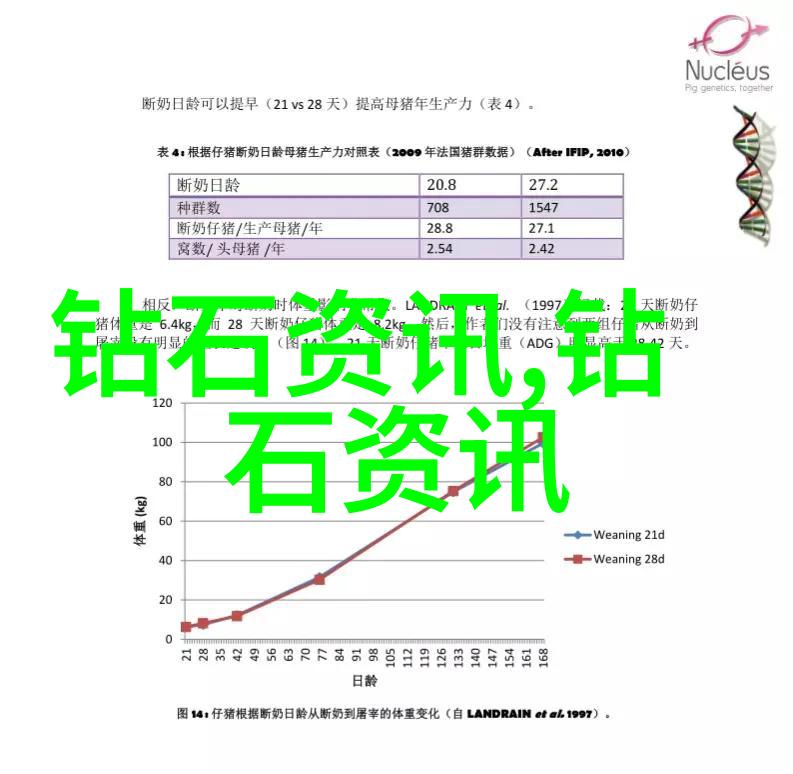 宝石学研究揭秘十大最珍贵的宝石及其价值评估