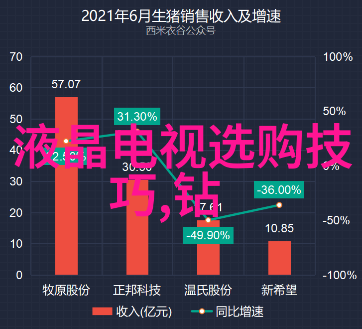 翡翠鉴定大作战揭秘那些让你一眼就能看出是宝的秘密特征