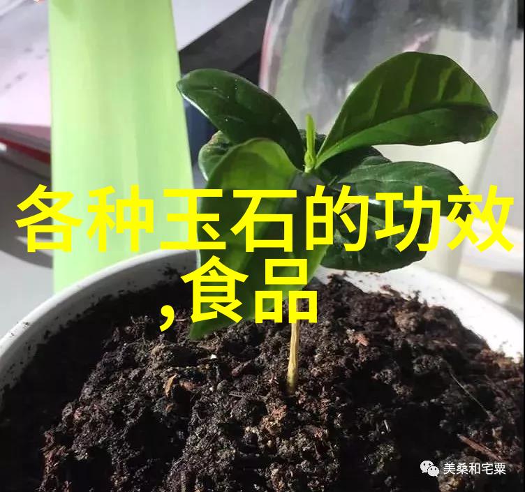 精确鉴赏玉石鉴别技巧与要点总结