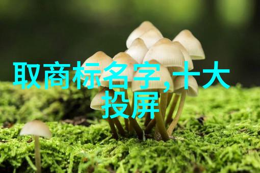 巴掌印甲虫花花我怎么就打错了甲虫呢