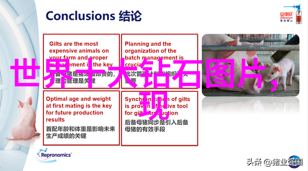 手工艺品种类织梦者的手指舞动