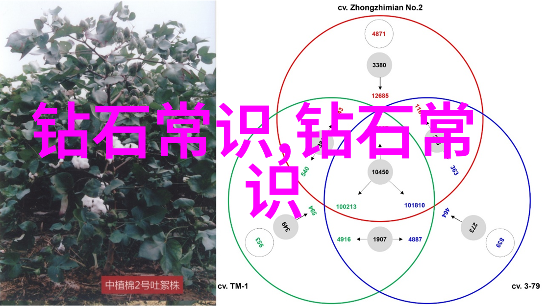 日本风情下的野花绽放中文字幕MV的诗意展现