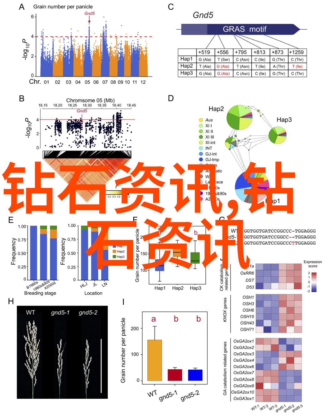 玉玺的荣耀揭秘十大名玉的历史与魅力