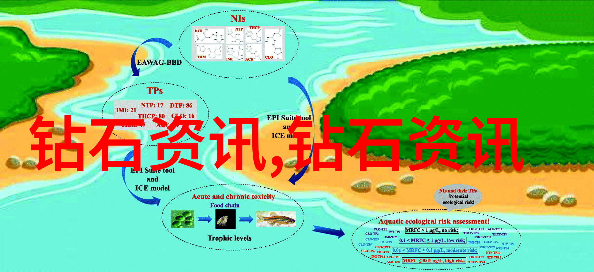 翡翠手镯亮泽ABC鉴定