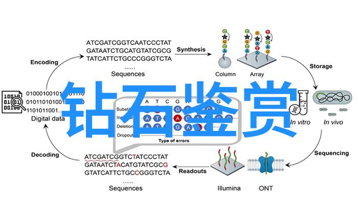 中国古典珠宝玉石鉴定艺术的精髓探究