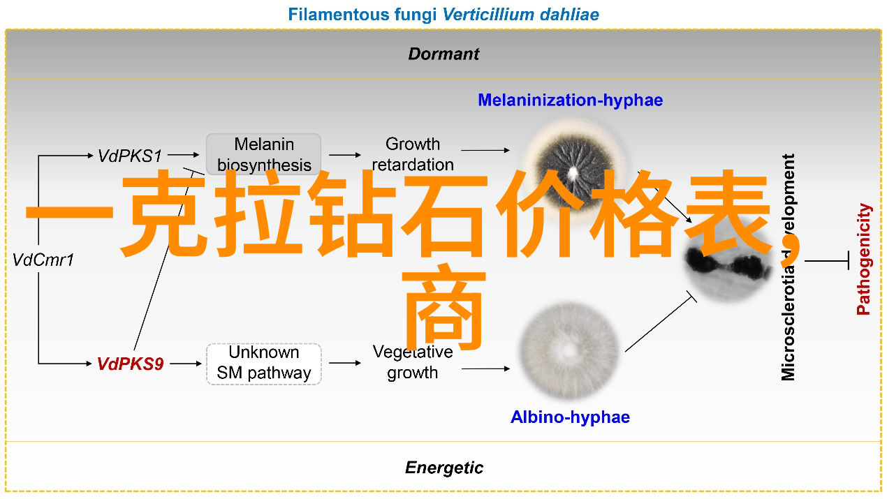 翡翠原石知识 - 翡翠的秘密揭开宝石界的绿色传奇