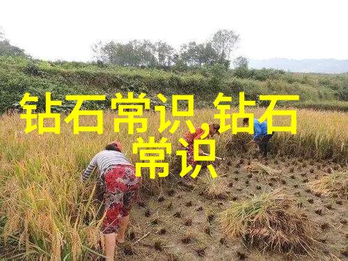 春光绘卷花开喜雨的温暖故事