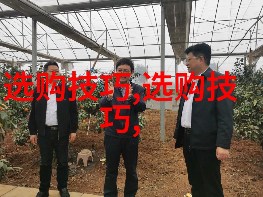 主题我是如何在百度云找到兰陵王妃的宝藏资源的