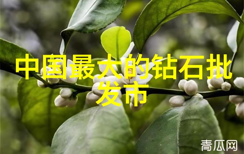 翡翠鉴别指南揭秘颜色光泽与内脏的秘密