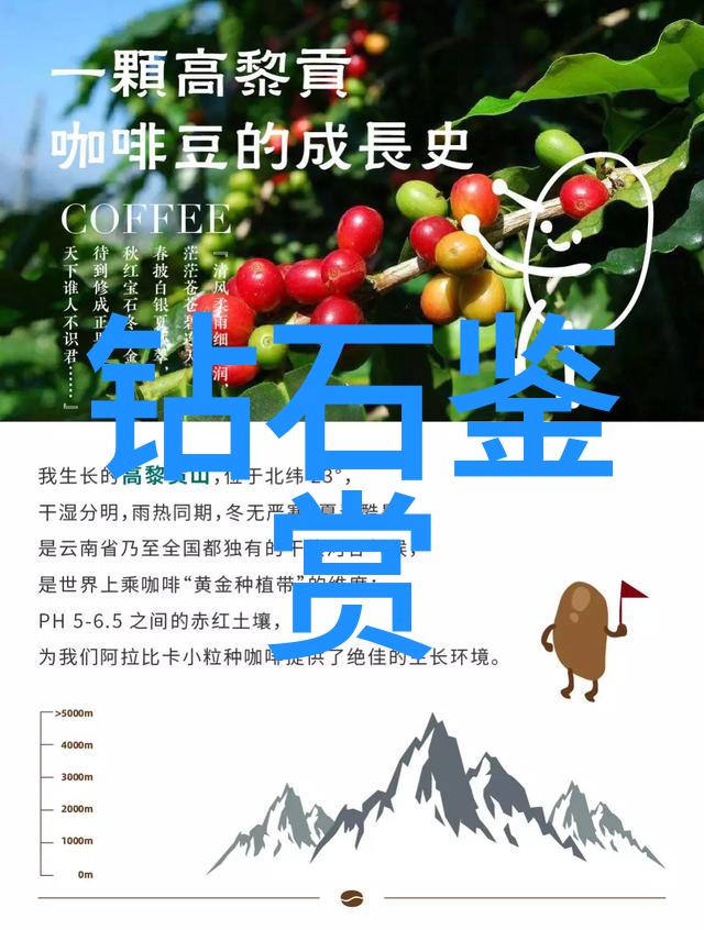 全球钻石价格宝典揭秘每一颗璀璨之星的价值