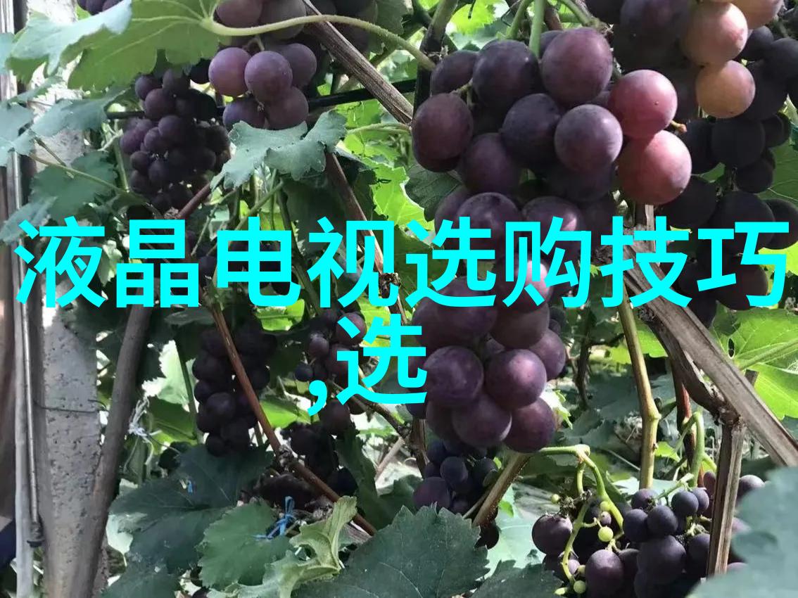 翡翠手镯背后的秘密免费鉴定之谜