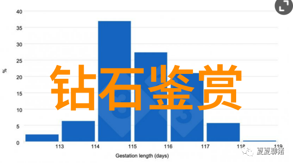 工程管理专业策划监督与优化的艺术与科学