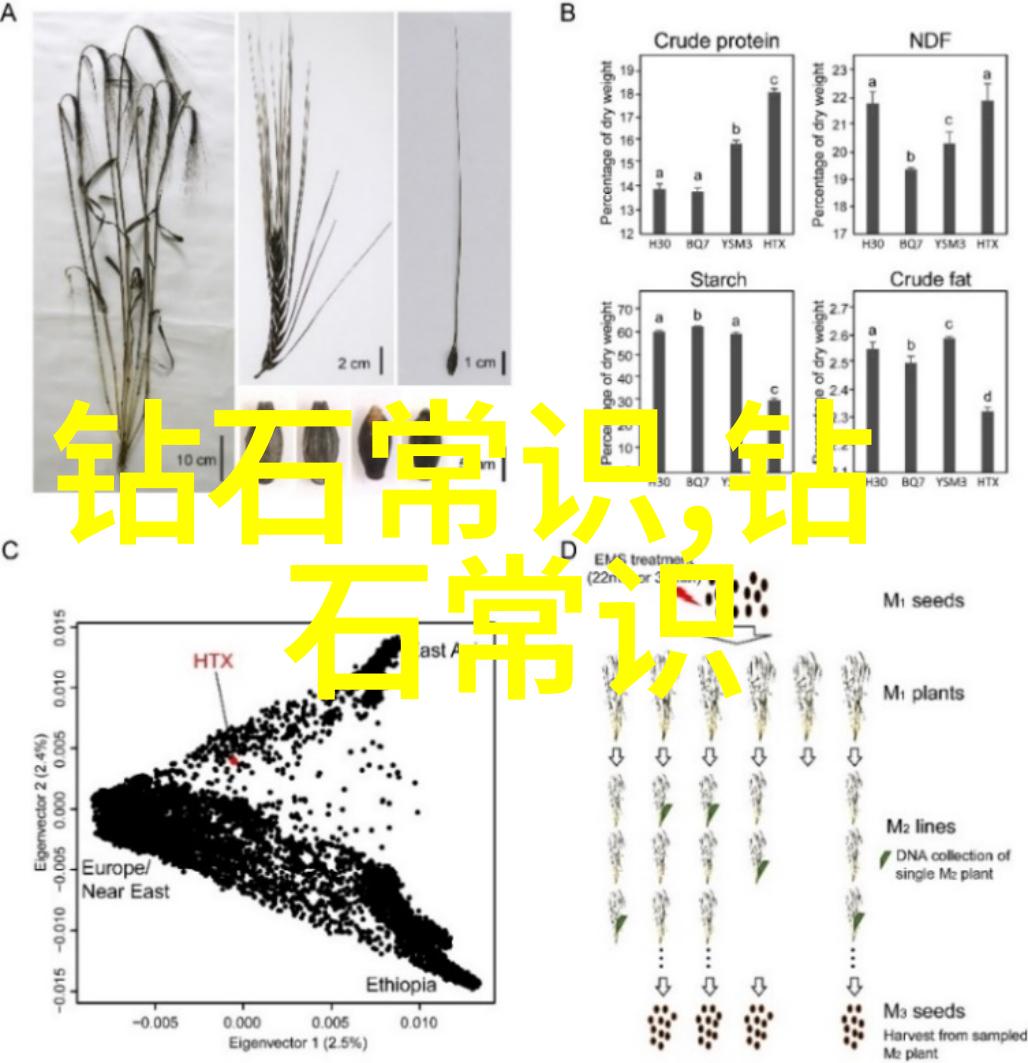 环境友好的铸铁生产方式是怎样的它对环保有什么贡献