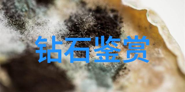 俄罗斯碧玉的市场春天引领我国40个非物质文化遗产的传承者走向人间美术馆