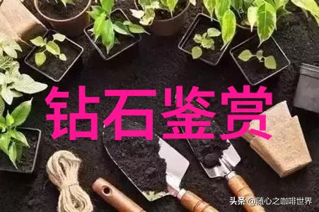 欧美ZC0O人与善交的最新章节-跨文化交流中的友谊与理解