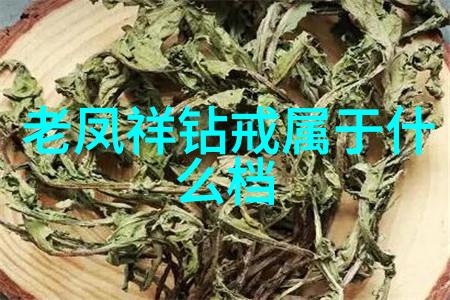 天外飞仙 卫风云隙里的孤傲与风中的梦