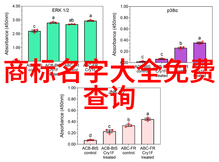 工程管理专业学什么从项目规划到现场监督的全方位策略