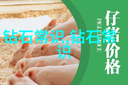 希腊OXETTE珠宝08新品钻戒避免石英岩玉长期佩戴的秘密