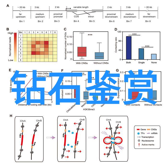 钻石的诞生与演变从自然形成到工厂制造