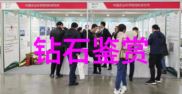 全球钻石市场价格解析揭秘裸钻的价值之谜