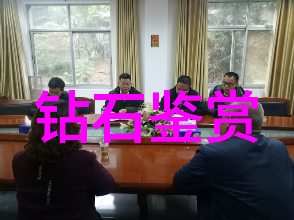 探秘中国三大钻石产地从云南勐腊到江苏无锡再到广东梅州的宝石传奇