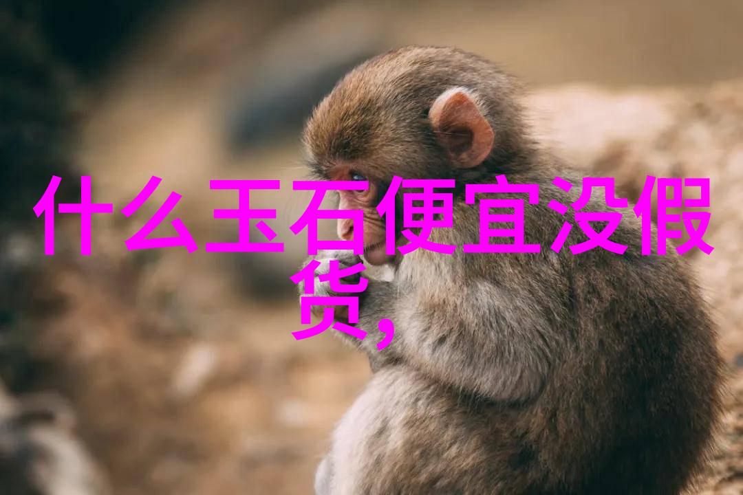 奇幻冒险-泷泽种子未来的希望与灾难的源头