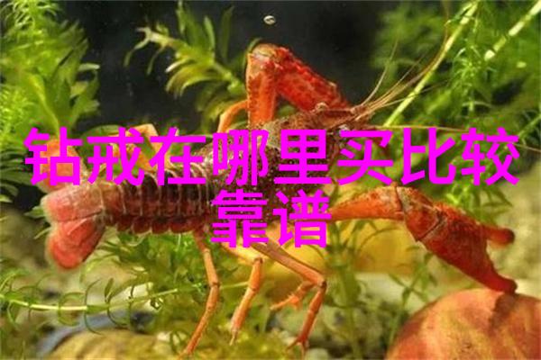 原神甘雨安慰部下的温柔之举C插画背后的故事