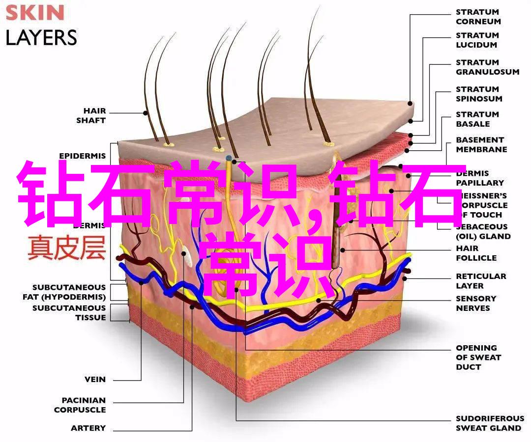 人工钻石与天然钻石的选择之谜哪一种更适合你