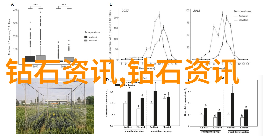 大地影院神马高清完整版中文版我的神马电影之旅在大地影院的奇妙体验