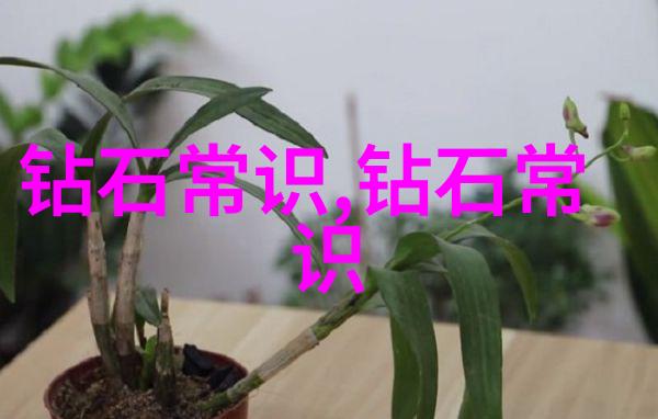 警花王梦溪种子 - 梦回警花追忆与未来之种的故事