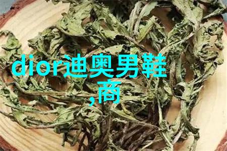 足坛霸主深度剖析世界杯前十强国家的足球力量与战略