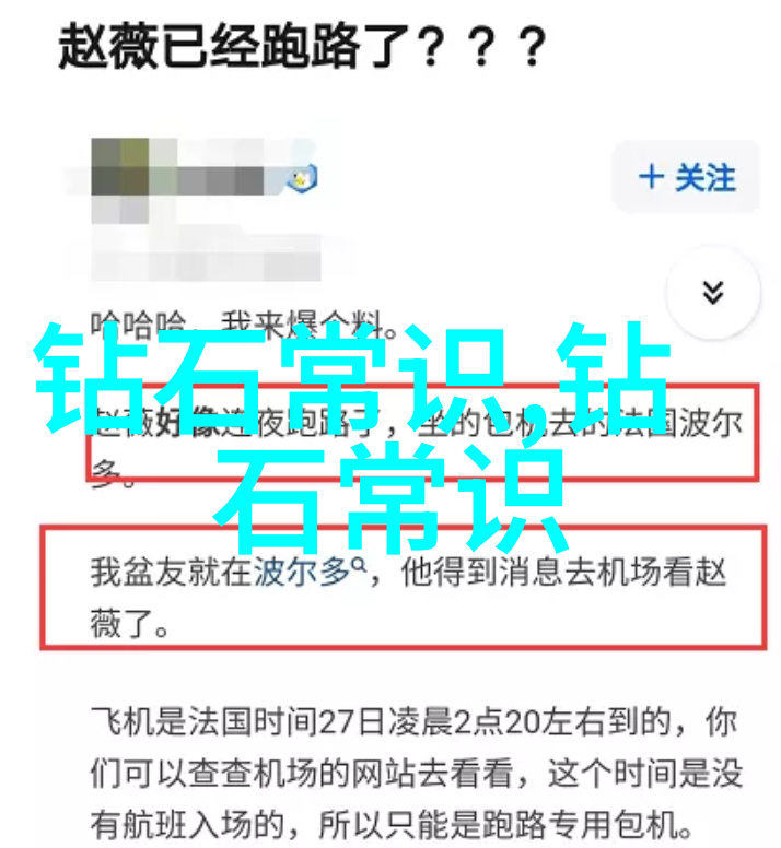 猪儿智慧三兄弟的智谋与勇敢