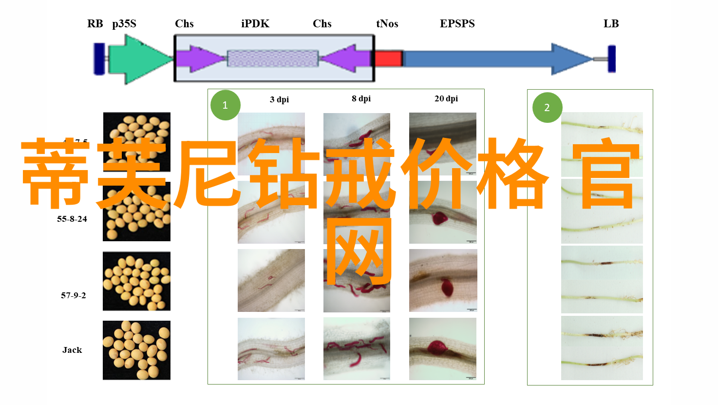 死对头的重压一场意外的相遇与深层次的反思