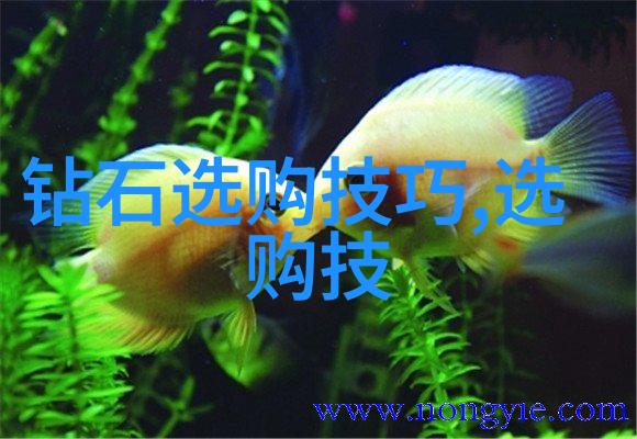 想开银饰首饰DIY店如何入手我是怎么开始的银饰DIY店的起步指南