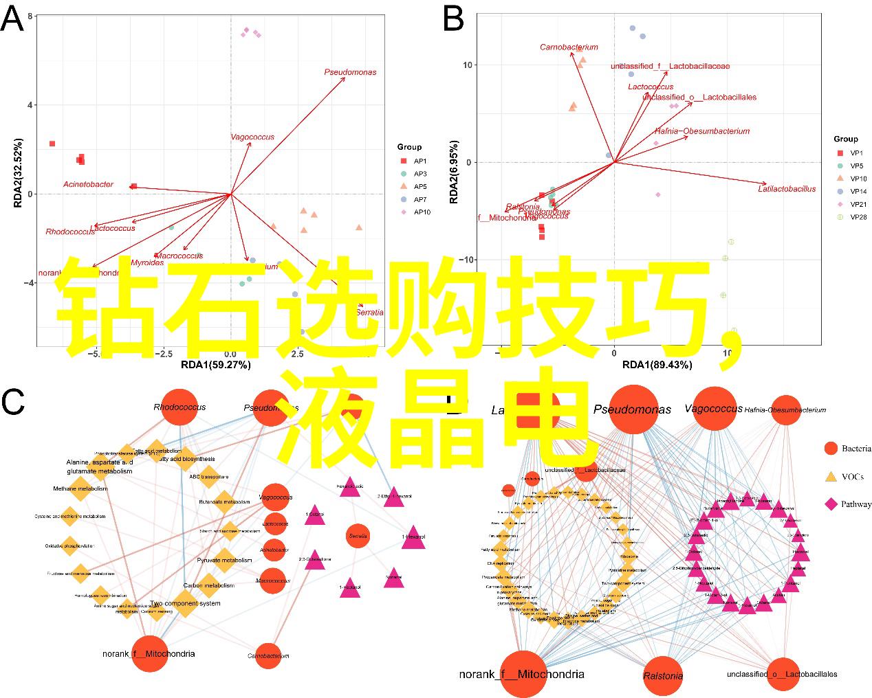 翡翠梦回緬甸古韵