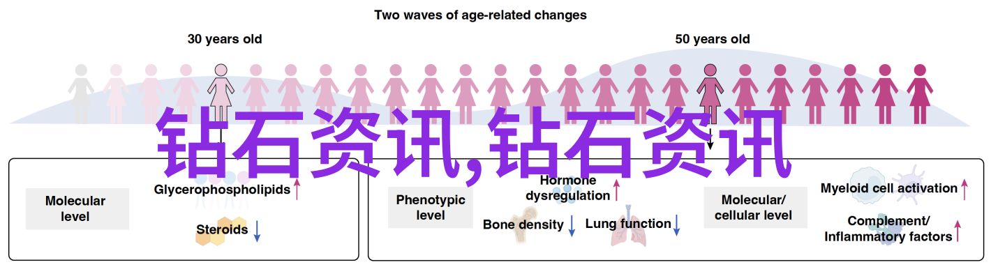 探索缅甸翡翠鉴定技巧