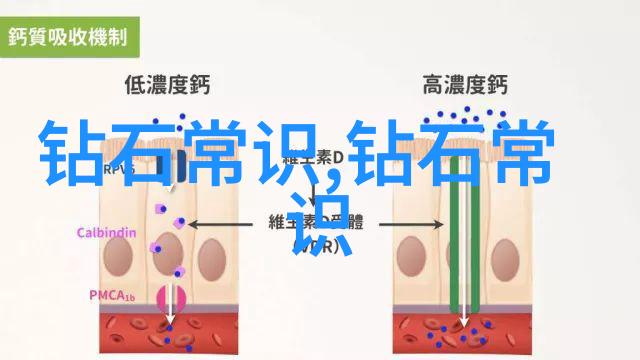 色彩背后的污染揭开污污的粉色视频之谜