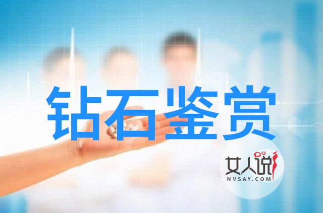 深度探究审计学原理与实践的结合