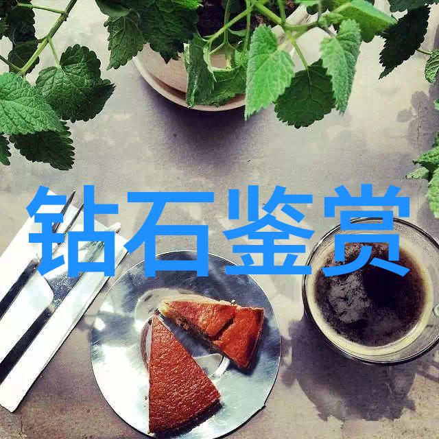 烘焙与红烧的交响篇章夹心饼干po红烧肉的创意融合