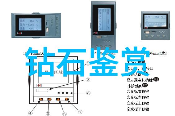 四房播播家庭生活的新篇章